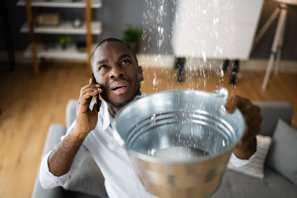 Best Water damage cleanup near me  in Victoria, MS