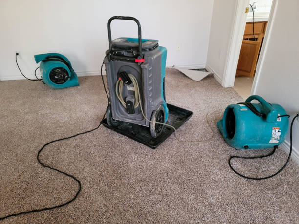 Best Water damage mitigation services  in Victoria, MS