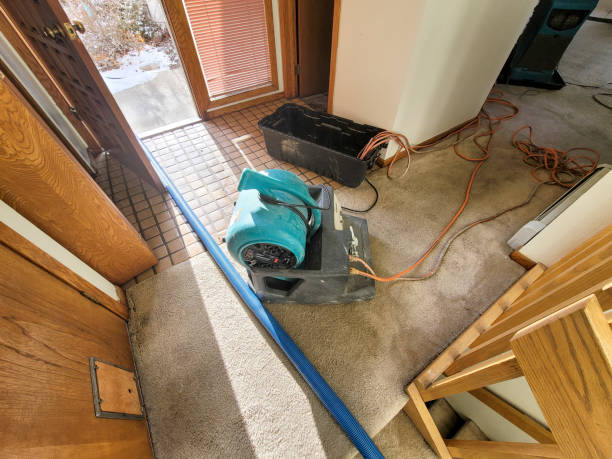 Best Local water damage restoration  in Victoria, MS