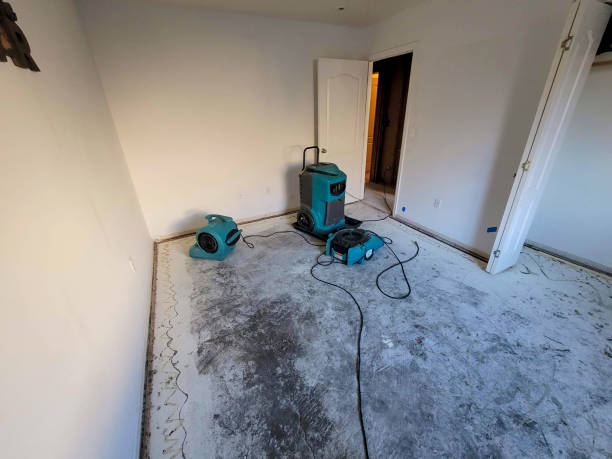 Best Professional water damage repair  in Victoria, MS
